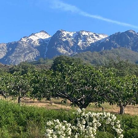 Mirada A Gredos Villa Candeleda Eksteriør bilde