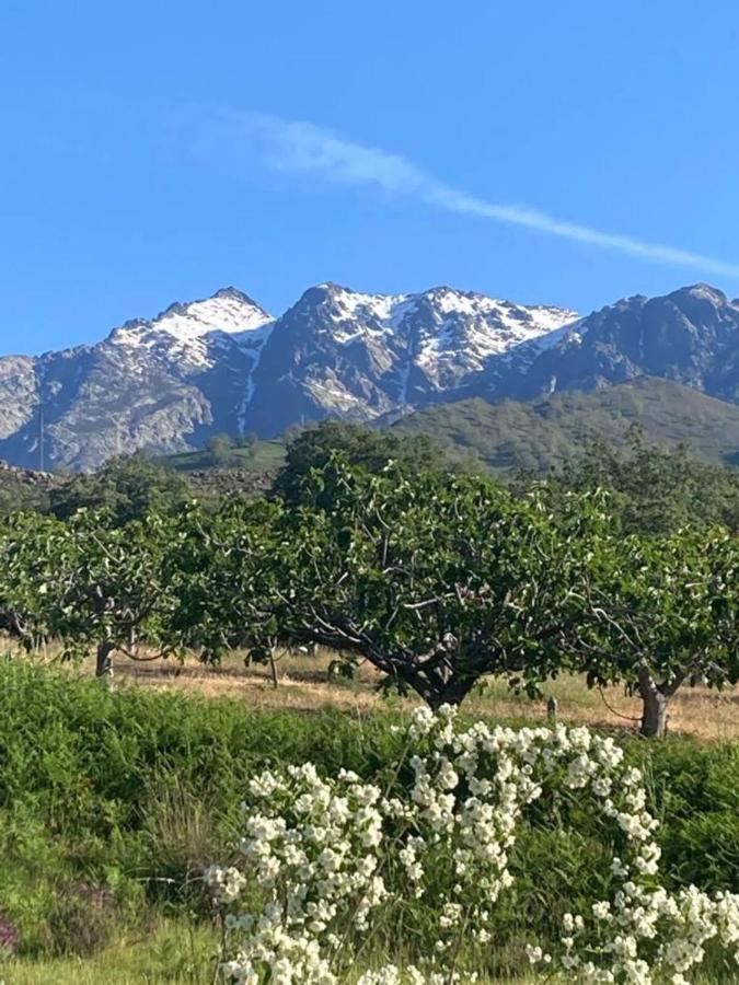 Mirada A Gredos Villa Candeleda Eksteriør bilde