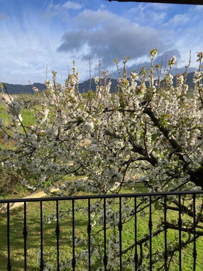 Mirada A Gredos Villa Candeleda Eksteriør bilde