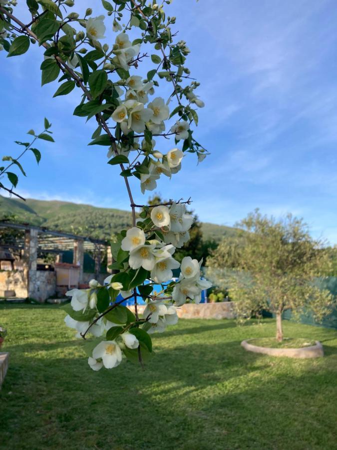 Mirada A Gredos Villa Candeleda Eksteriør bilde